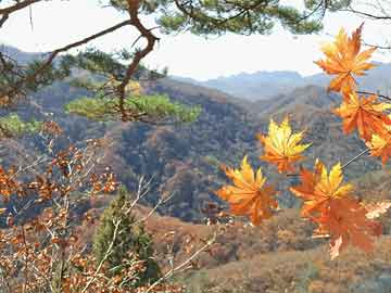 11月10日开户免存送彩金66，与大自然共舞的心灵旅行启航