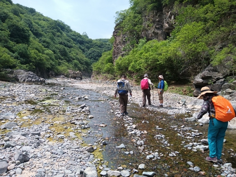 太原东涧河地区最新动态报道，发展进展与未来展望深度解读