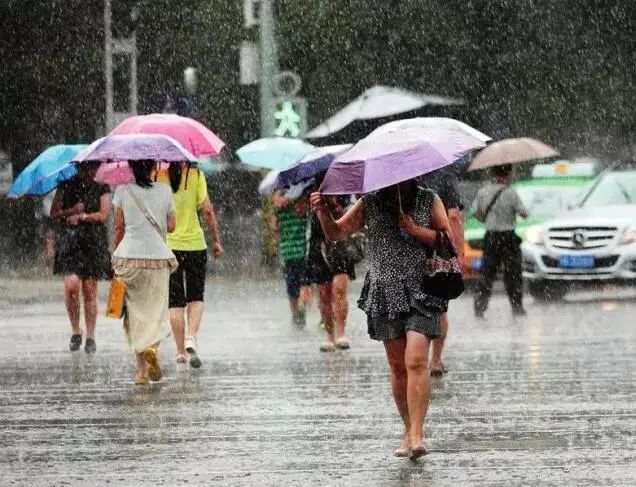 淄博暴雨持续更新，最新动态、应对要点分析与应对挑战