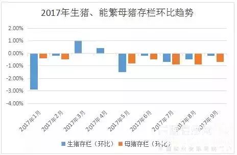 去年母猪存栏数据揭秘，变化中的自信与成就感之源