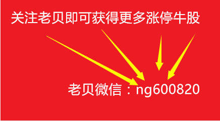 李大霄最新观点揭秘日，探访特色小店奇遇记