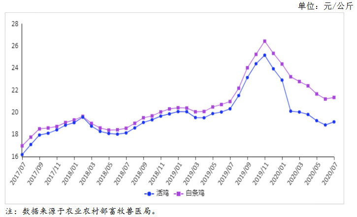 往年11月15日肉毛鸡价格行情解析，市场走势与小红书热议汇总报告