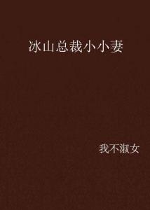 总裁的小小妻多维度视角下的文本最新章节解析与观点碰撞（2024年11月16日）