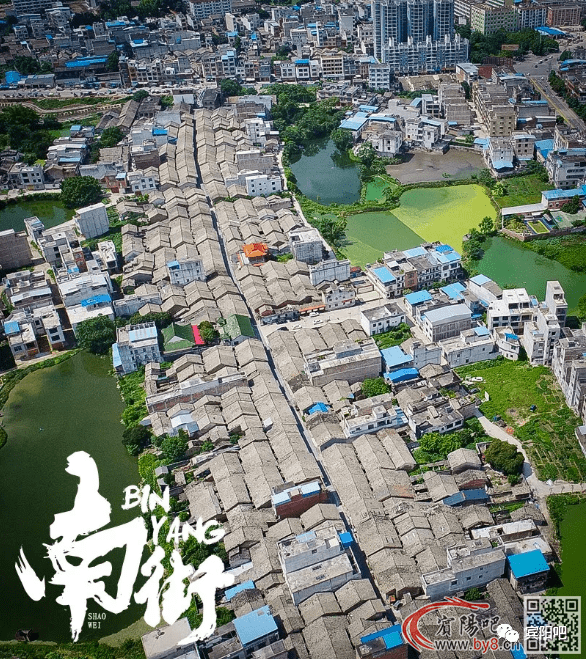 历史上的彩美旬果探秘，揭秘彩美旬果在11月17日的最新作品背后的故事