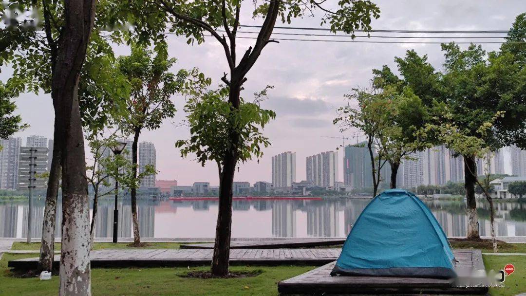 蒲田疫情实时动态图表预测与解读，掌握制作步骤，洞察未来趋势（预测至2024年）